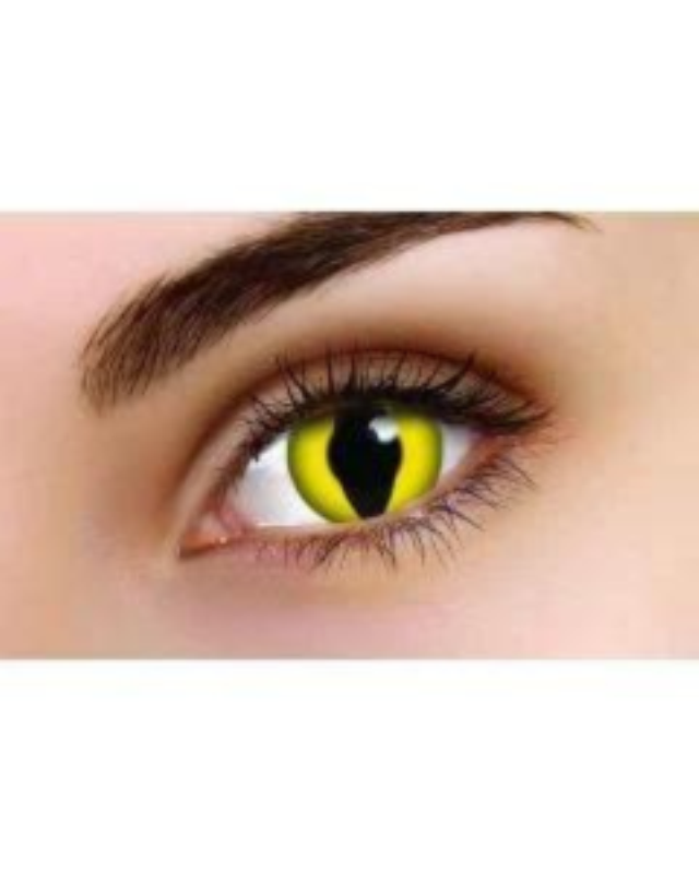 Cats Eye Cats Eye