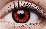 Volturi Volturi