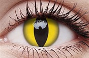 Cats Eye Cats Eye