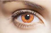 Hazel Hazel