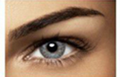 Sterling Gray Sterling Gray