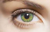 Green Green
