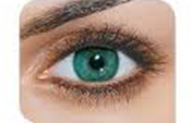 Sea Green Sea Green
