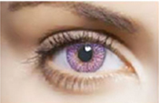 Violet Violet