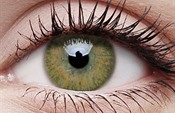 Trublends Hazel Trublends Hazel