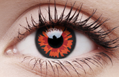 Volturi Volturi