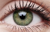 Green Green