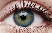 Colourvue Trublends Blue Colourvue Trublends Blue