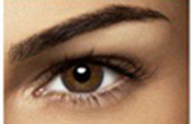 Brown Brown