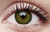 Glamour Green Glamour Green