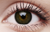 Big Eyes Awesome Black Big Eyes Awesome Black