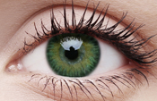 3 Tones Green 3 Tones Green