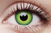 Hulk Green Hulk Green