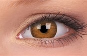 Trublends Hazel Trublends Hazel