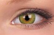 Trublends Green Trublends Green