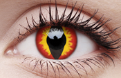Dragon Eyes Dragon Eyes