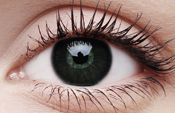 Big Eyes Dolly Black Big Eyes Dolly Black
